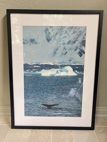 Lot #62 (1 of 5)