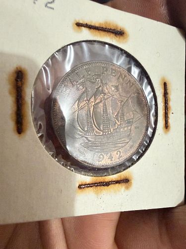 Lot #116 (1 of 5)