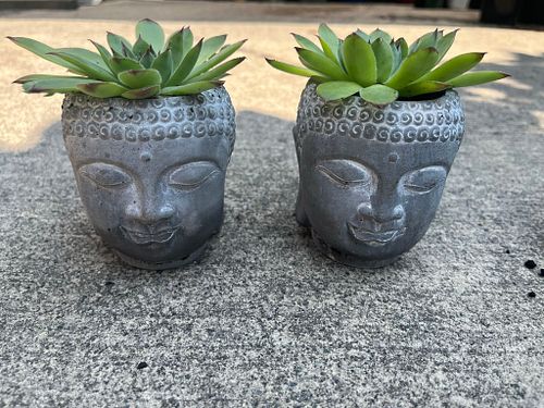 Lot #83 (1 of 9)