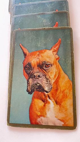 Lot #17 (1 of 11)