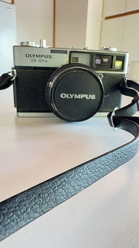 Lot #22 (1 of 12)