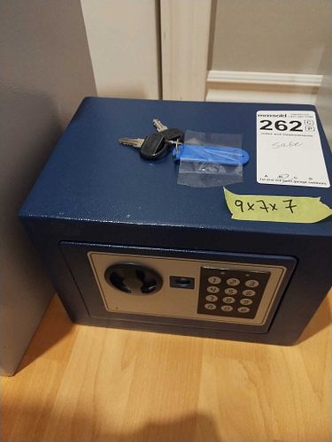 Lot #262 (1 of 10)