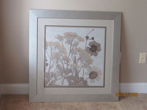 Lot #20 (1 of 6)
