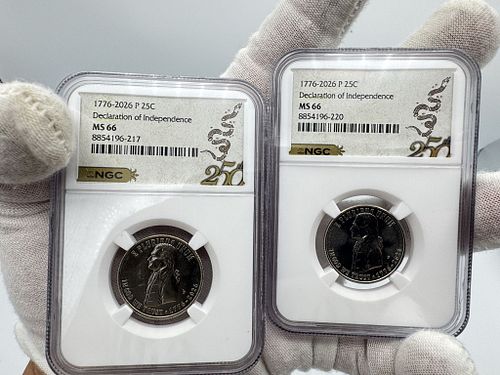 Lot #871 (1 of 5)