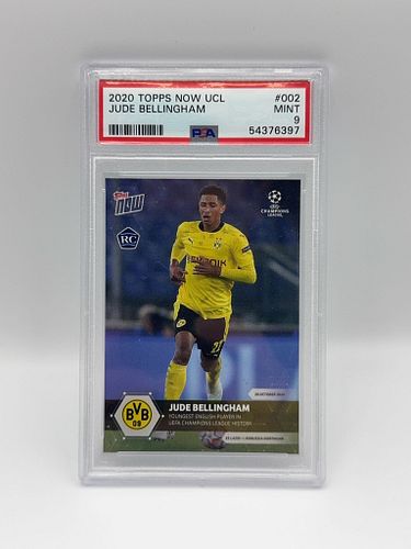 Lot #878 (1 of 2)