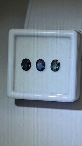 Lot #65 (1 of 14)