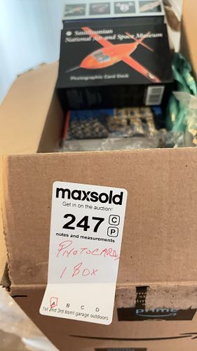 Lot #247 (1 of 7)