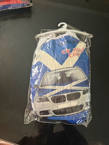 Lot #41 (1 of 2)