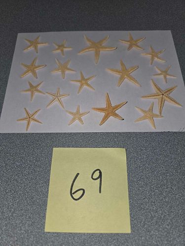 Lot #69 (1 of 3)