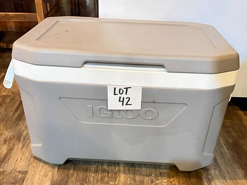 Lot #42 (1 of 6)