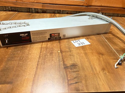 Lot #231 (1 of 9)