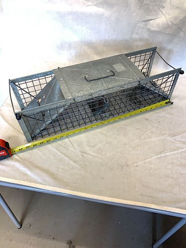 Lot #69 (1 of 5)