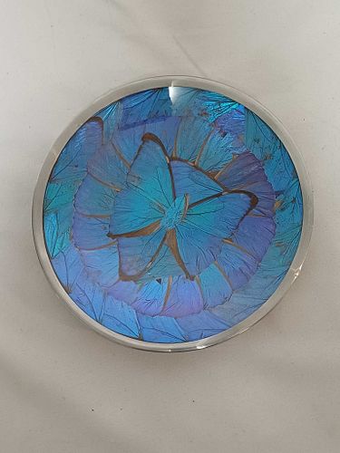 Lot #81 (1 of 5)