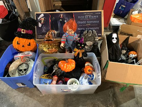 Lot #336 (1 of 12)