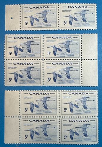 Lot #42 (1 of 4)
