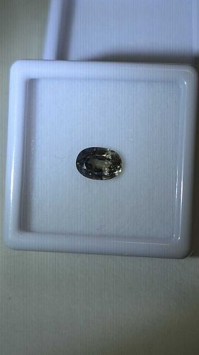 Lot #26 (1 of 16)