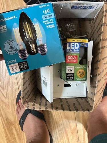 Lot #37 (1 of 12)