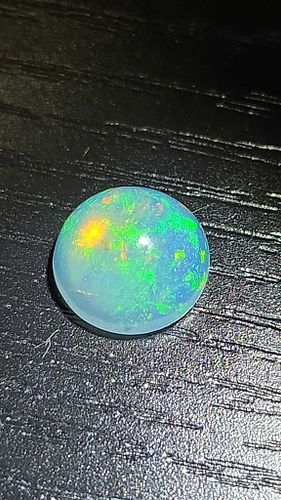 Lot #22 (1 of 7)