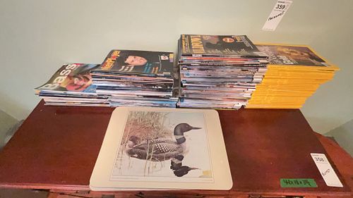 Lot #359 (1 of 14)