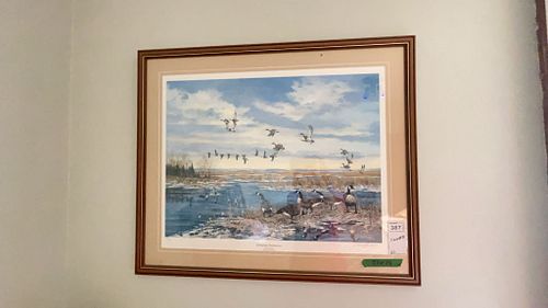 Lot #387 (1 of 11)