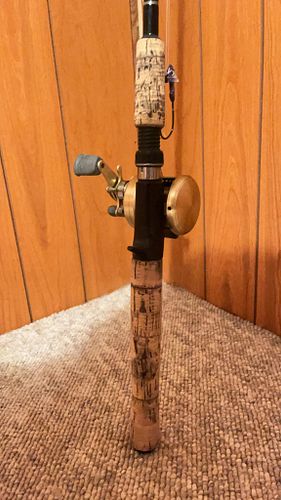 Lot #553 (1 of 10)