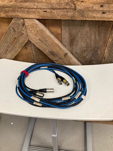 Lot #45 (1 of 4)