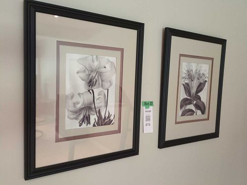 Lot #474 (1 of 7)