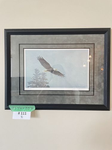 Lot #111 (1 of 17)