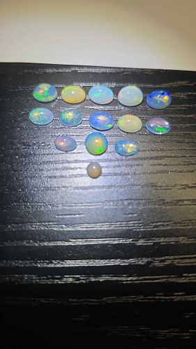 Lot #13 (1 of 8)