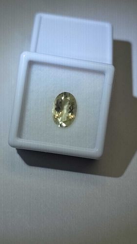 Lot #14 (1 of 7)