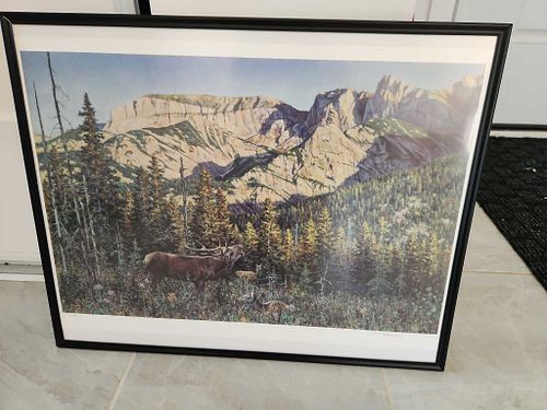 Lot #4 (1 of 5)
