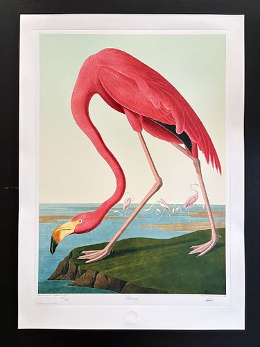 Lot #3 (1 of 15)