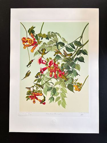 Lot #18 (1 of 15)