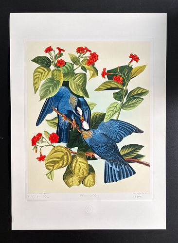 Lot #27 (1 of 15)
