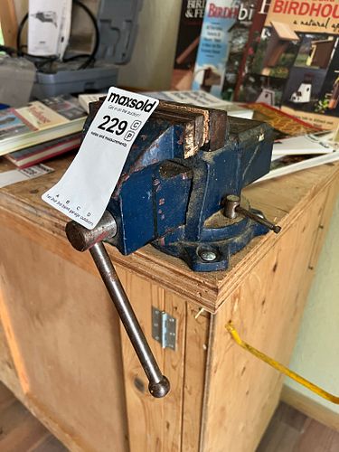 Lot #229 (1 of 10)