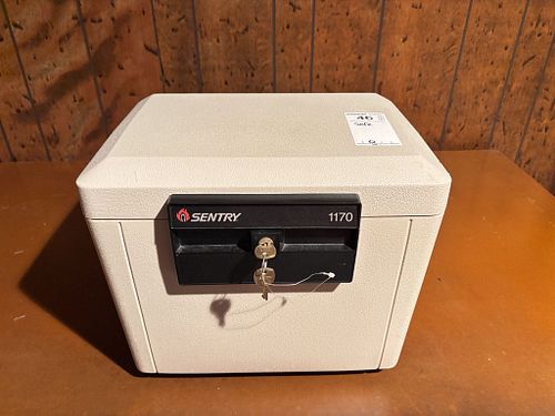 Lot #46 (1 of 5)