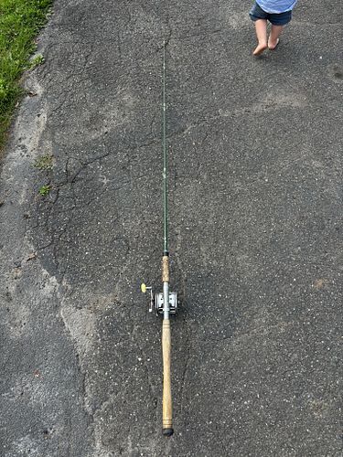 Lot #223 (1 of 9)