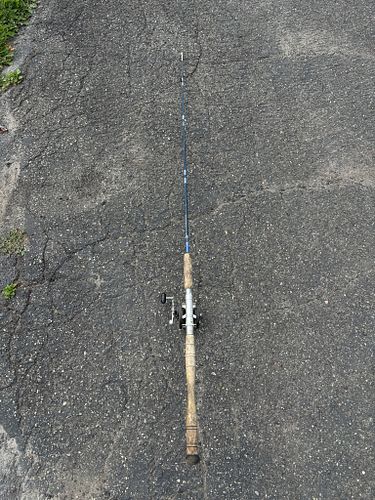 Lot #224 (1 of 12)