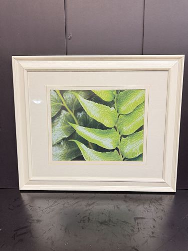 Lot #71 (1 of 1)