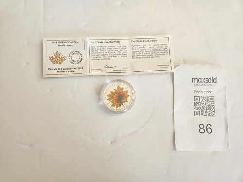 Lot #86 (1 of 6)