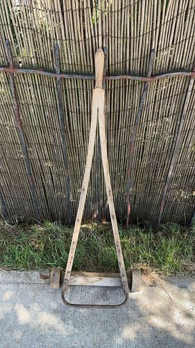 Lot #25 (1 of 6)