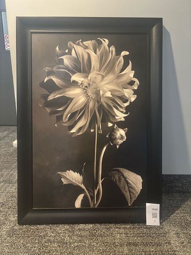Lot #1 (1 of 3)