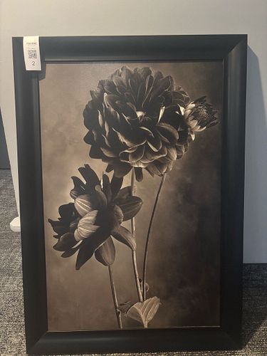 Lot #2 (1 of 3)