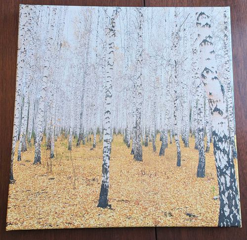Lot #61 (1 of 3)