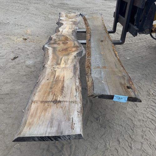 Lot #38 (1 of 3)