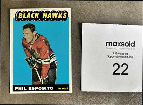 Lot #22 (1 of 2)