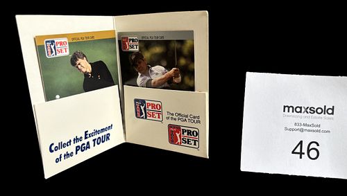 Lot #46 (1 of 3)