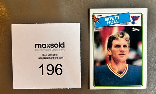 Lot #196 (1 of 2)