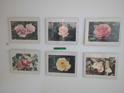 Lot #27 (1 of 10)