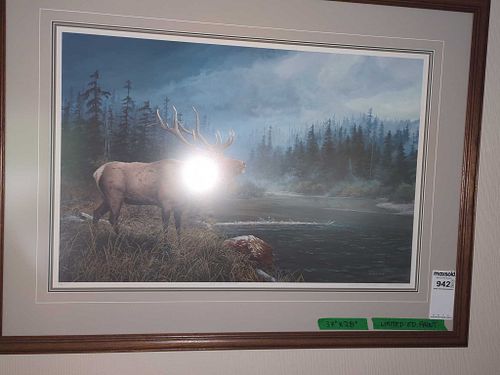 Lot #942 (1 of 13)